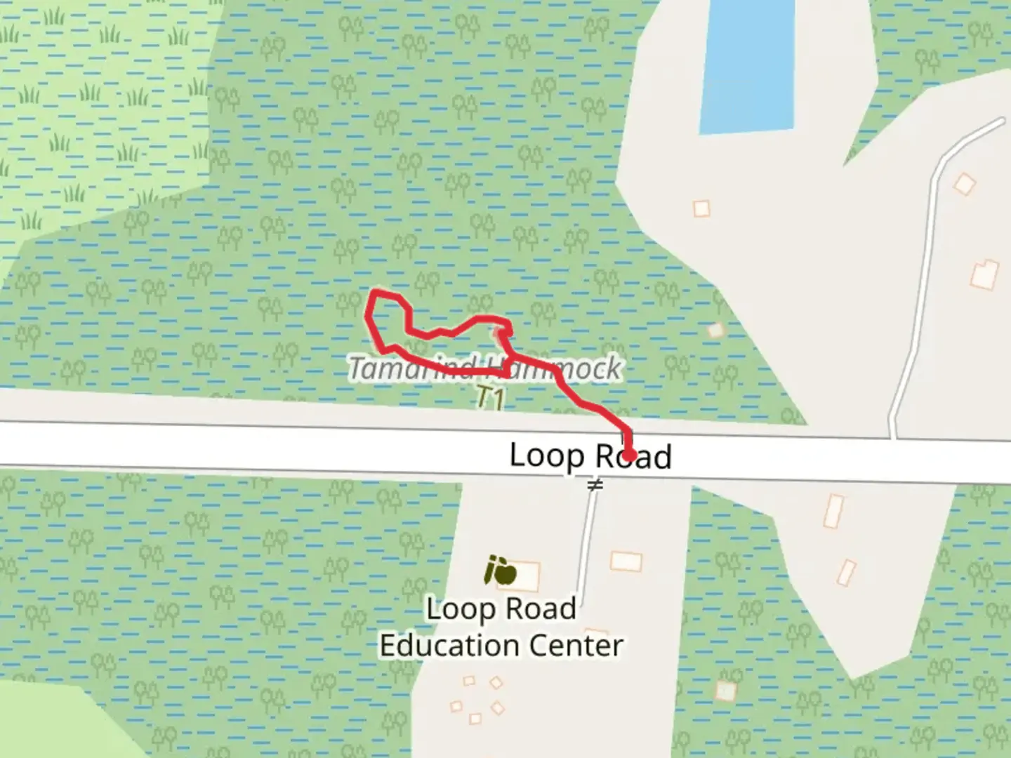 An image depicting the trail Tree Snail Hammock Loop Trail and its surrounding area.