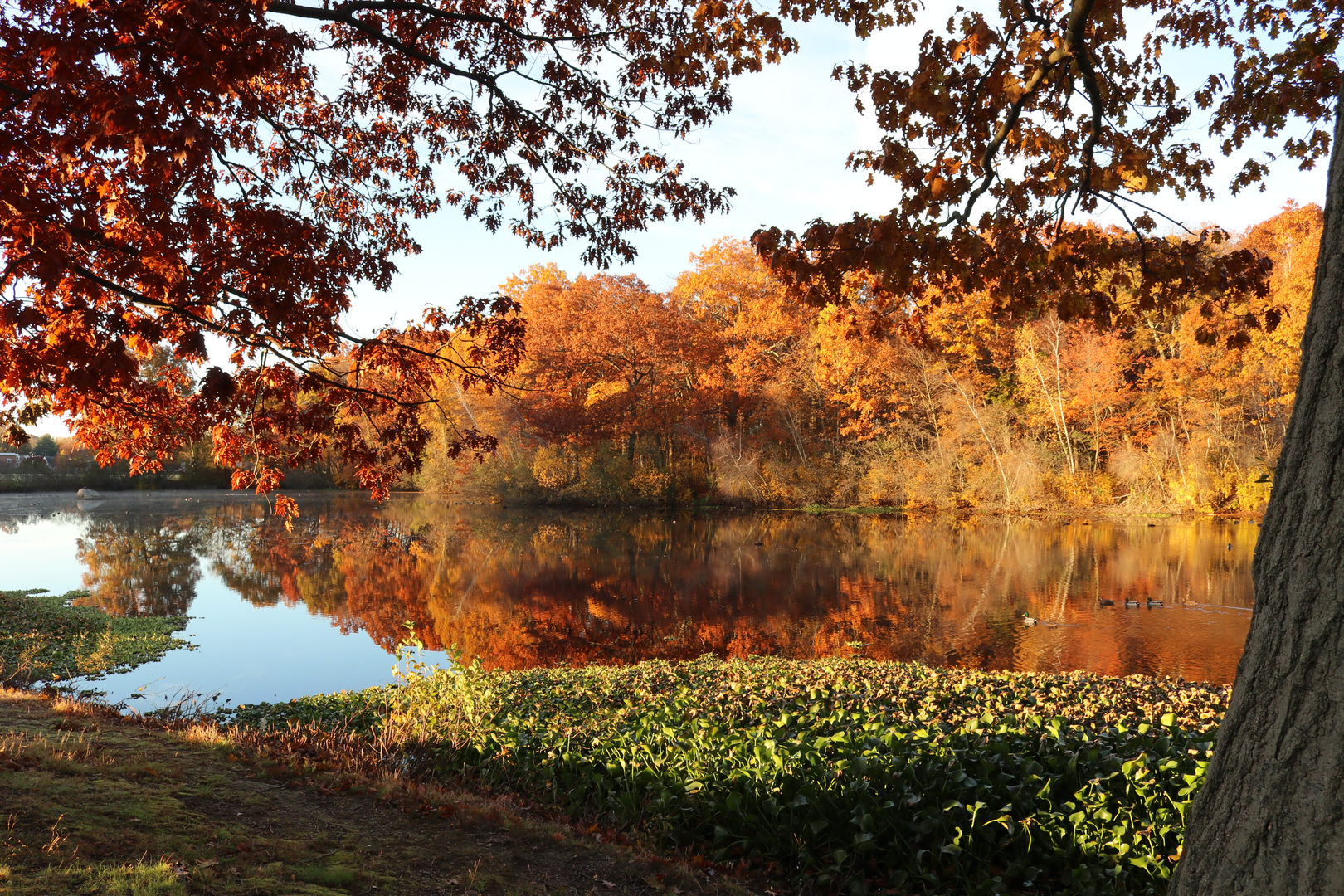 An image depicting the trail Robert Frost Trail and its surrounding area.