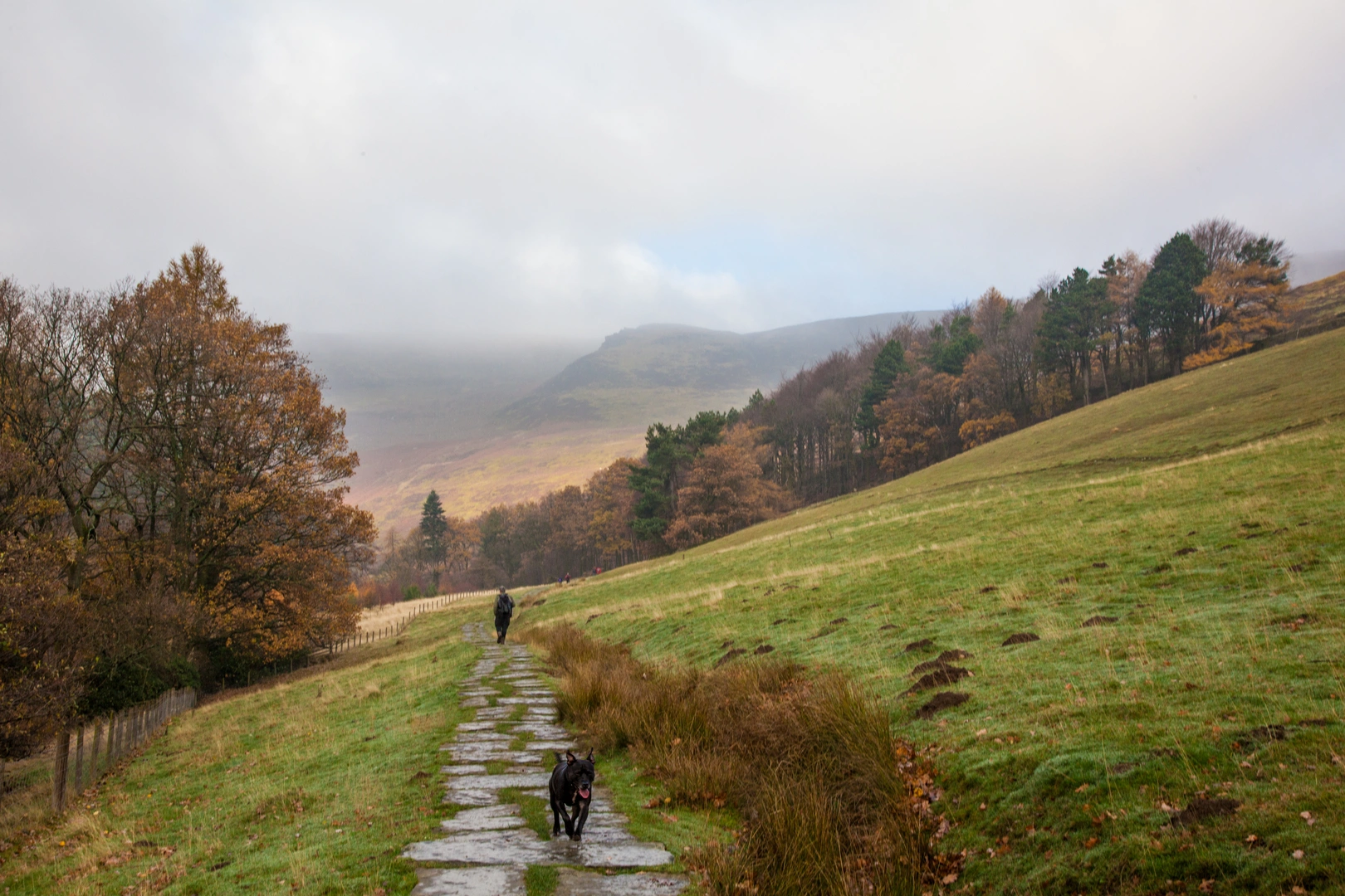 An image depicting the trail The Roaches to Edale Walk and its surrounding area.
