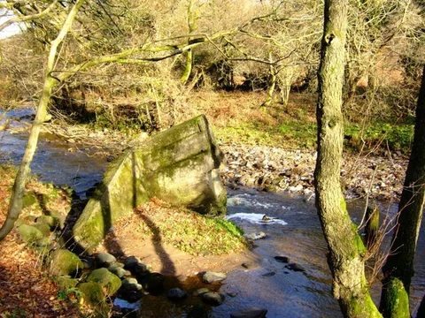 An image depicting the trail River Brock Loop - Brock Mill and its surrounding area.