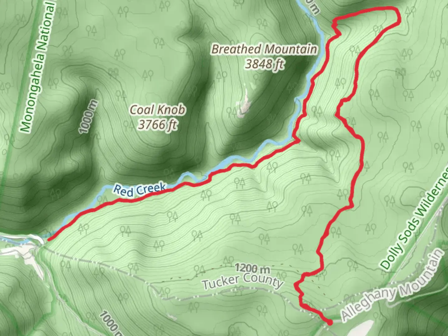 An image depicting the trail Rohrbaugh and Red Creek Trail and its surrounding area.
