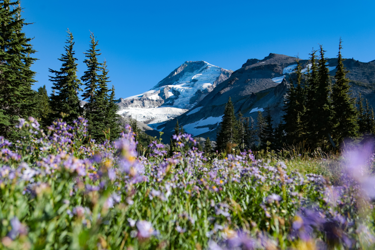 Elk Mountain Vista Trail via Elk Meadows Trail