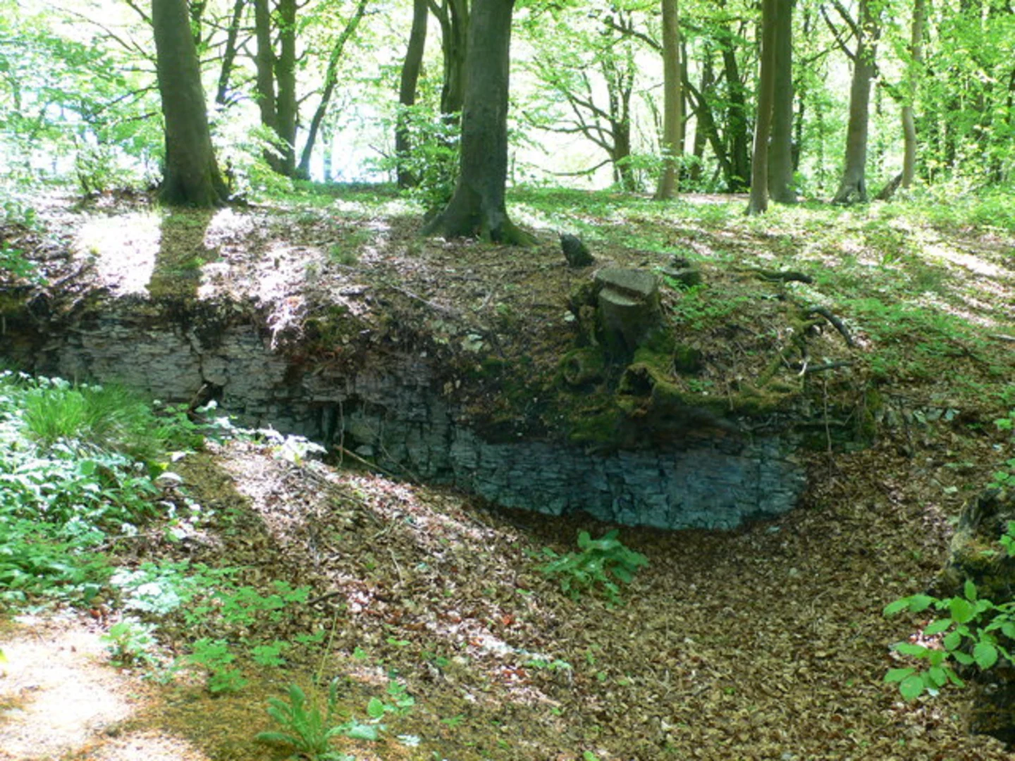 An image depicting the trail Brimpsfield to Caudle Green Loop Walk and its surrounding area.