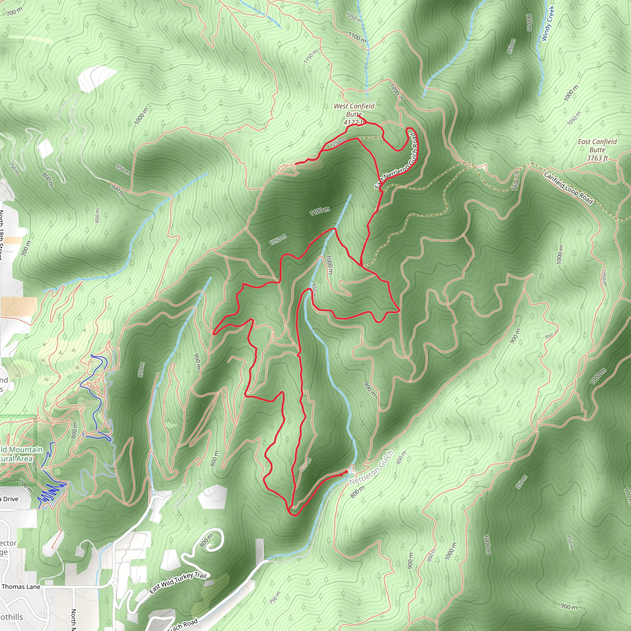 Trail 3 and Trail 5 Loop mobile static map