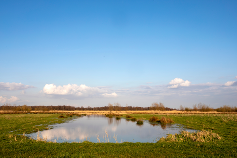 Middenpol, Hilversumse Bovenmeent, Naardermeer and Grote Meer Loop