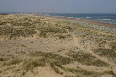 Portrack Marsh Nature Reserve to Seaton Carew Walk