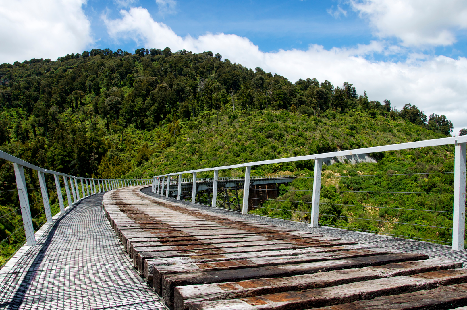 An image depicting the trail Ohakune Old Coach Road and its surrounding area.