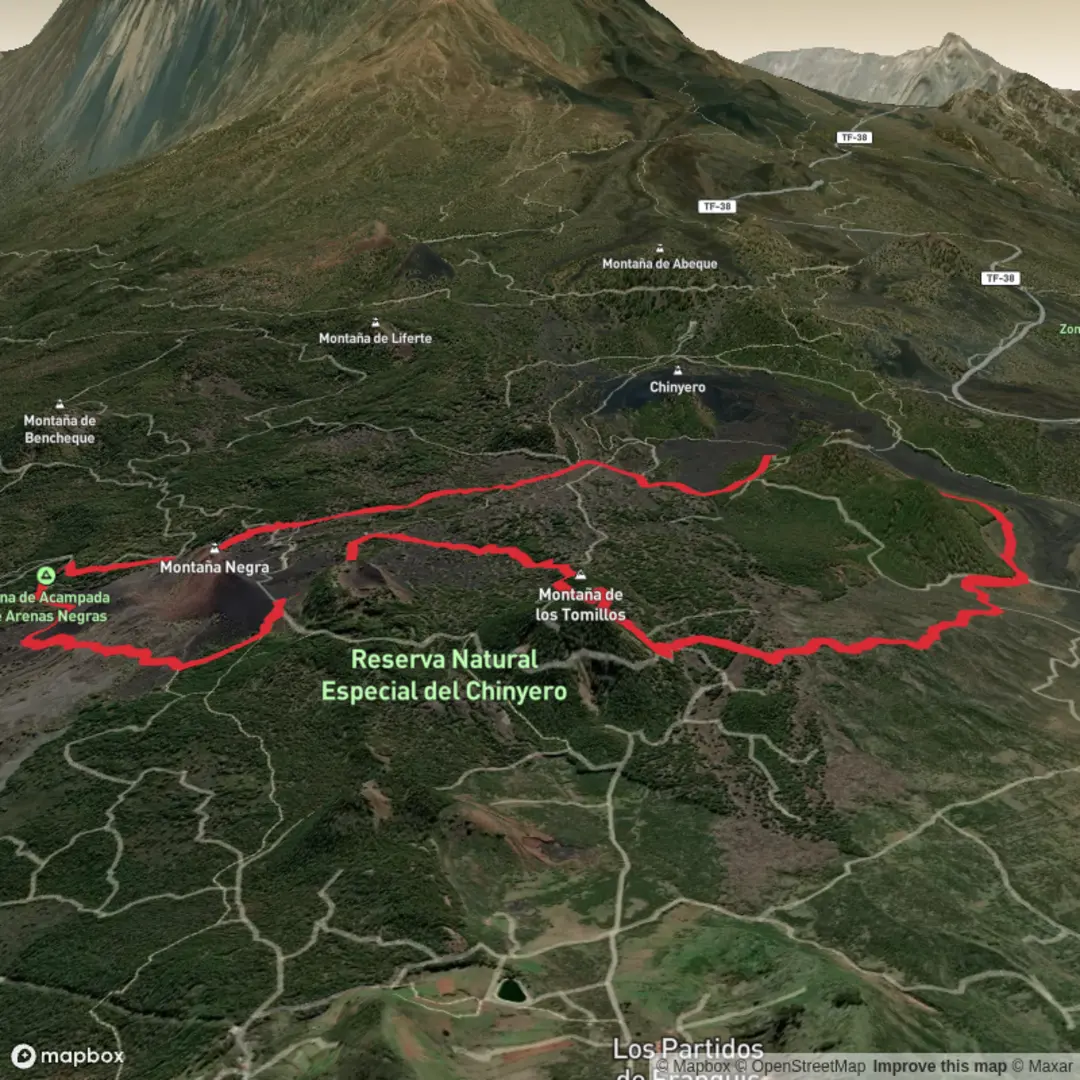 An image depicting the trail chinyero and its surrounding area.