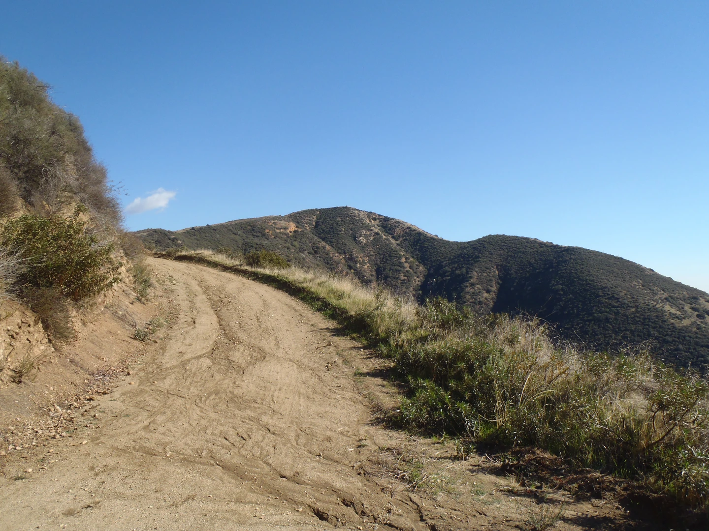 An image depicting the trail Potato Hill Trail and its surrounding area.