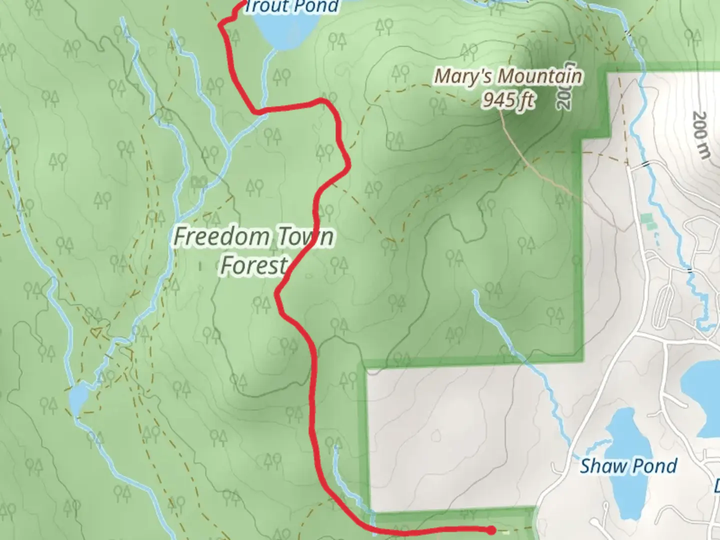 An image depicting the trail Freedom Town Forest - Trout Pond Trail and its surrounding area.