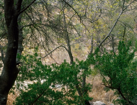 An image depicting the trail Romero Canyon Trail to Romero Pools and its surrounding area.