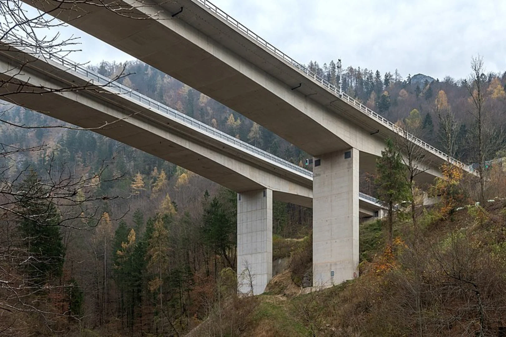 An image depicting the trail Spering Summit and its surrounding area.