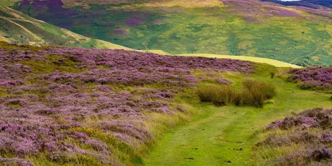 An image depicting the trail Cilcain - Moel Arthur and Moel Famau and its surrounding area.