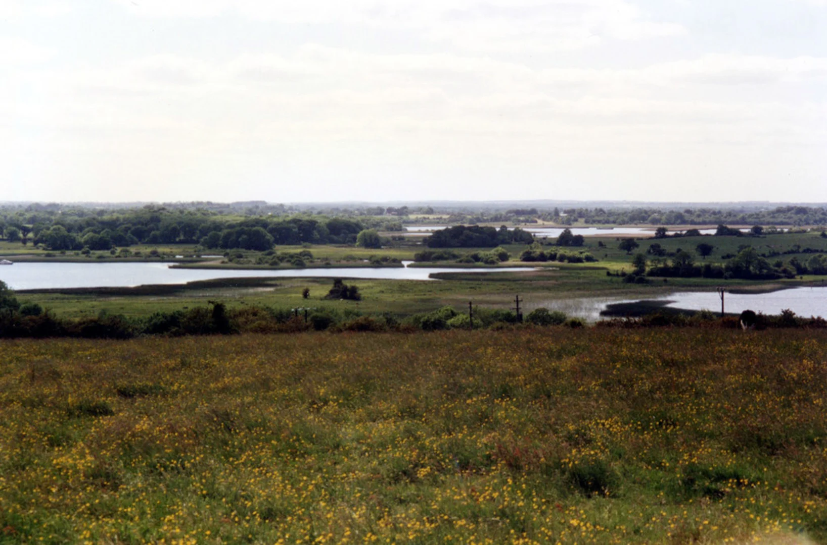 An image depicting the trail Ballykeeran Forest Trail and its surrounding area.
