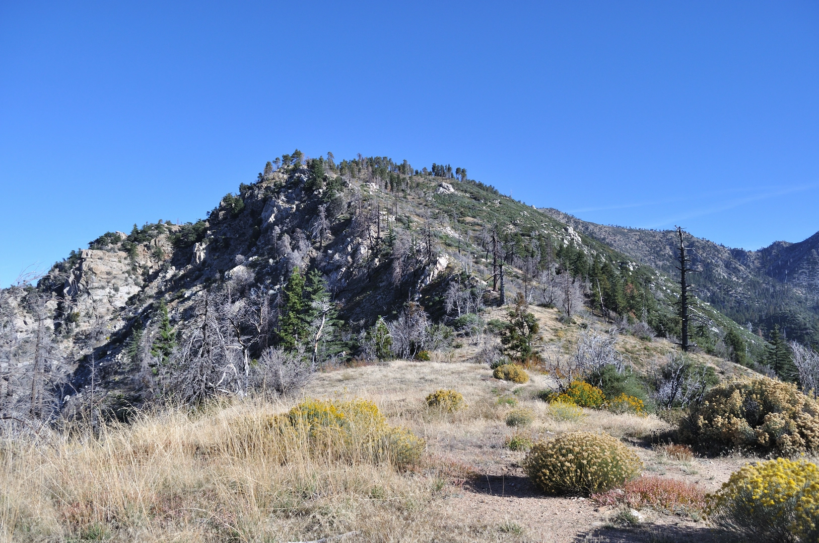 An image depicting the trail Mount Islip via Windy Gap Trail and Big Cienega Trail and its surrounding area.