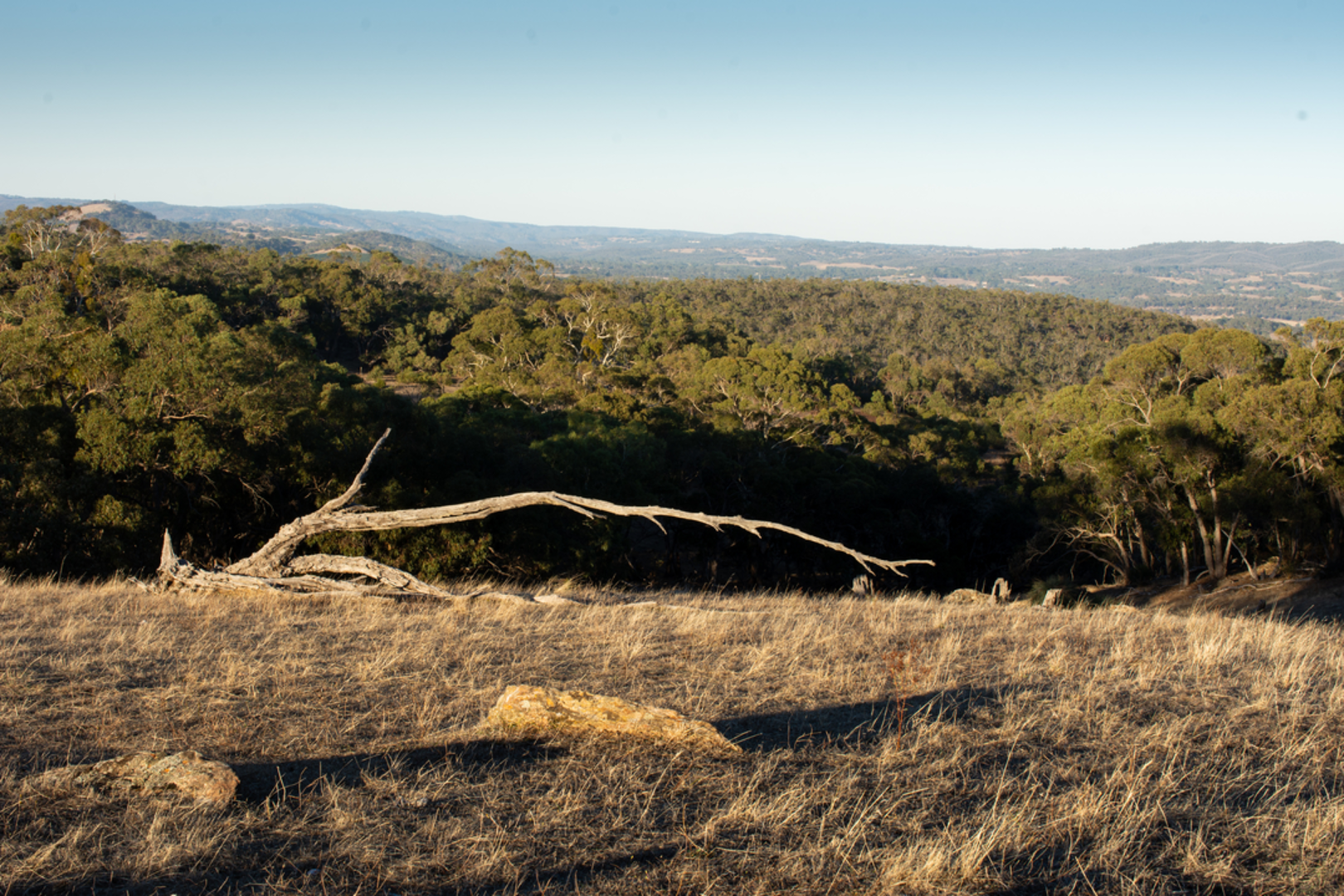 An image depicting the trail Warren Tower Track and its surrounding area.