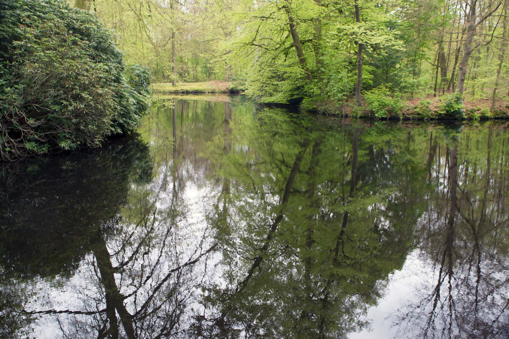 An image depicting the trail Hilversum to Pijnenburg via Kasteel Groeneveld and Maartensdijksche and its surrounding area.
