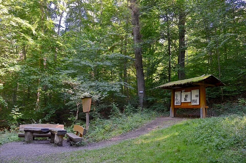 An image depicting the trail Burgfelsen, Stephansaturm and Paddelweiher Loop and its surrounding area.