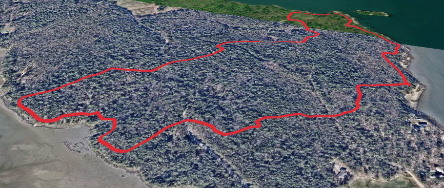 Wolfes Neck Woods State Park Loop