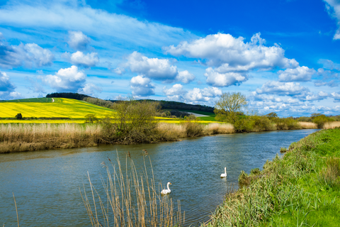 Rackham Hill from Amberley