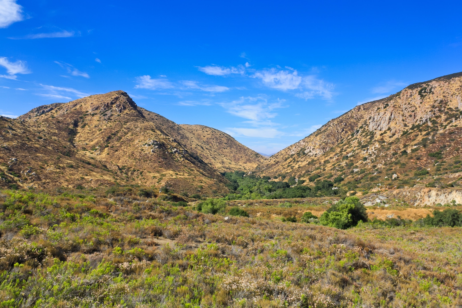 An image depicting the trail Grasslands Loop Trail and its surrounding area.