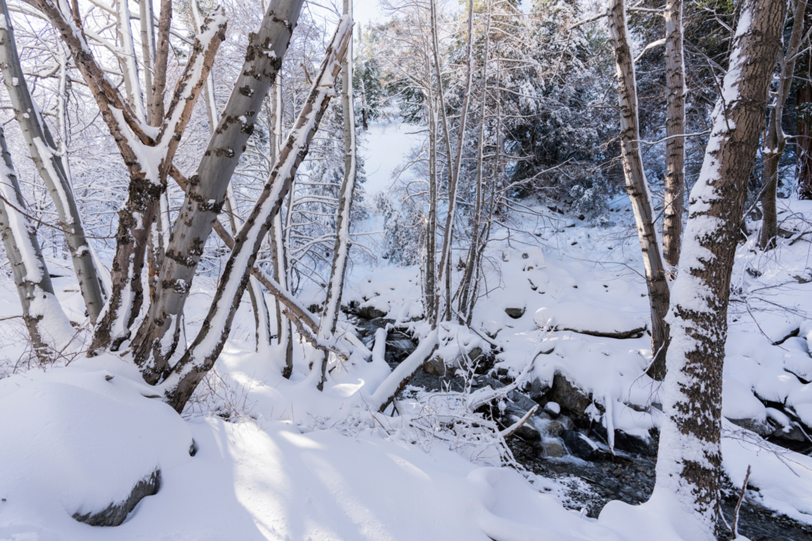 An image depicting the trail Icehouse Canyon Trail and its surrounding area.