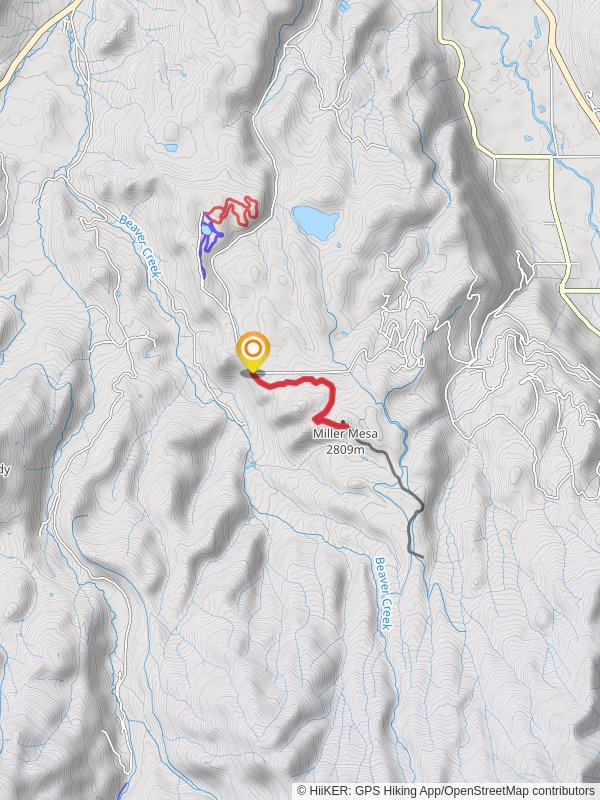 Miller Mesa via Miller Mesa Nordic mobile static map