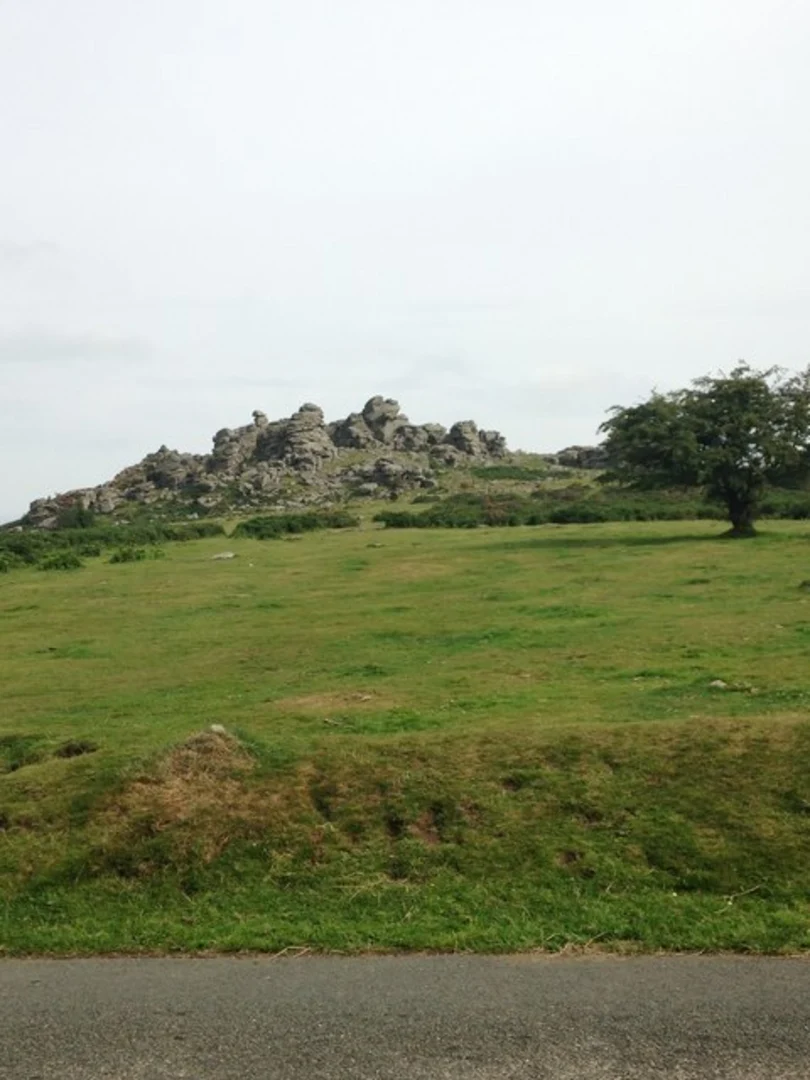 An image depicting the trail Hound Tor Loop and its surrounding area.