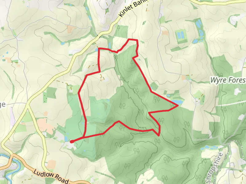 Malpass Wood and Maxfields Coppice Loop