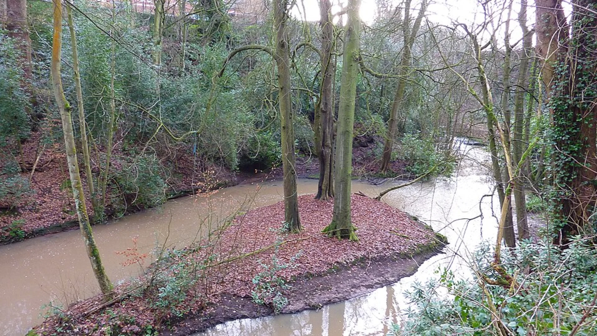 An image depicting the trail Hayhead Wood and The Dingle Loop and its surrounding area.
