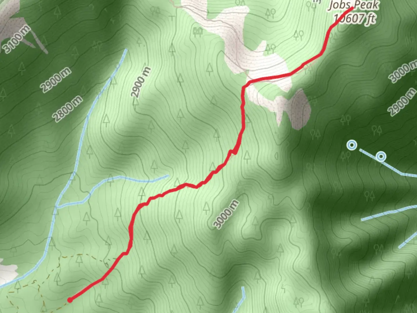 An image depicting the trail Jobs Peak Trail and its surrounding area.