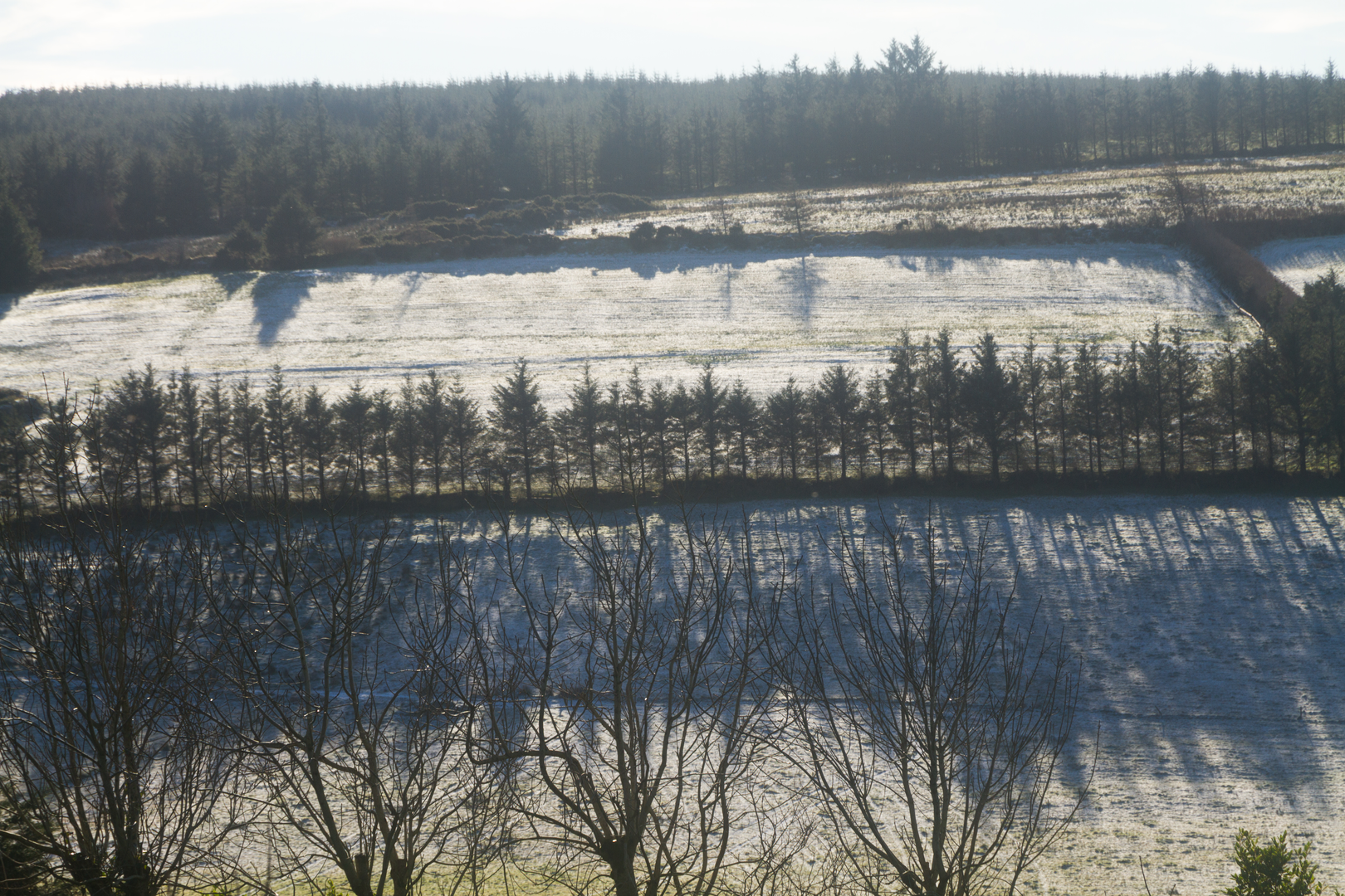 An image depicting the trail Duhallow - Doctors Hill Loop and its surrounding area.