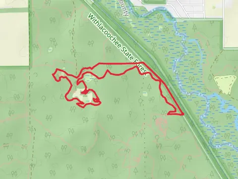 Northeast Blue and The Hooch Loop