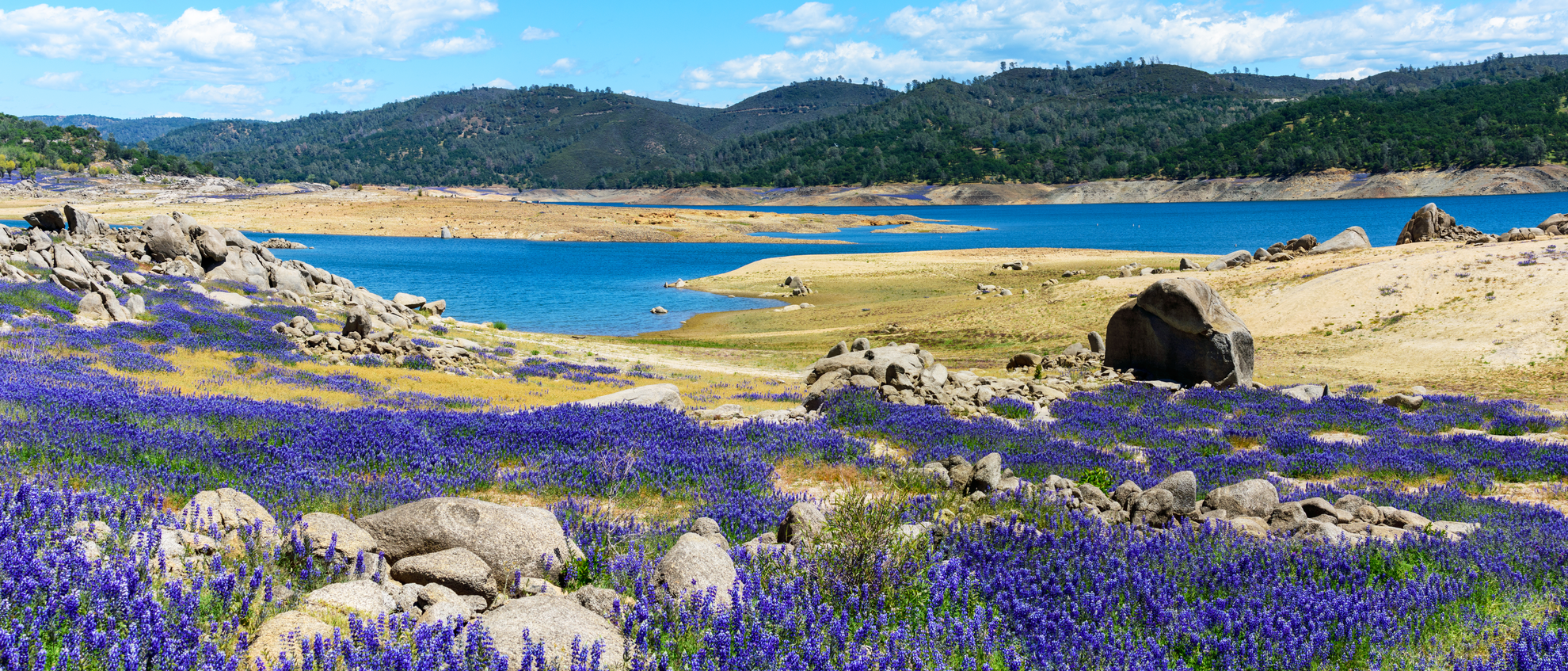 An image depicting the trail Folsom Lake State recreation Area Loop and its surrounding area.