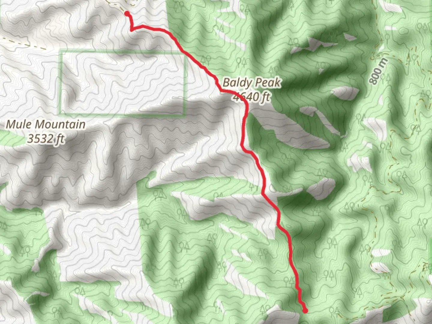 An image depicting the trail Little Grayback Ridge via Charlie Buck-Baldy Peak Trail and its surrounding area.