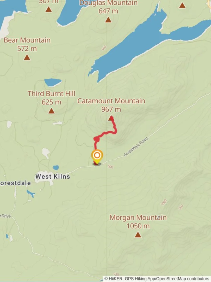 An image depicting the trail Catamount Mountain Trail and its surrounding area.