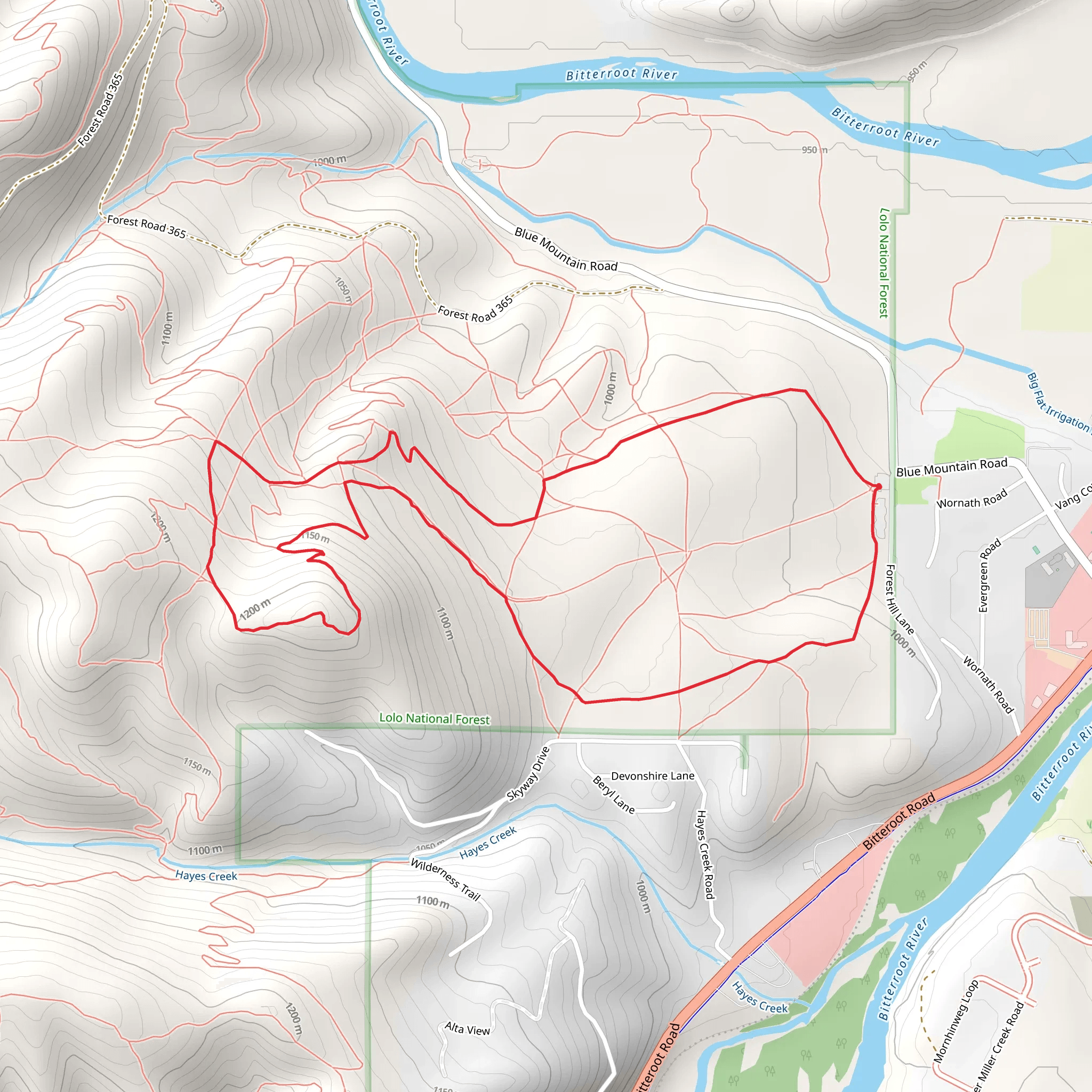 Blue Mountain Loop Trail mobile static map