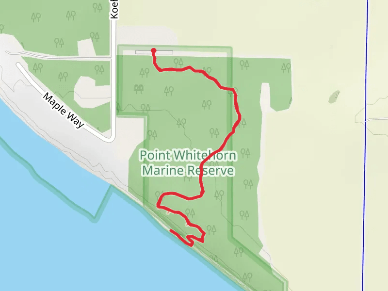 Point Whitehorn Marine Reserve Trail