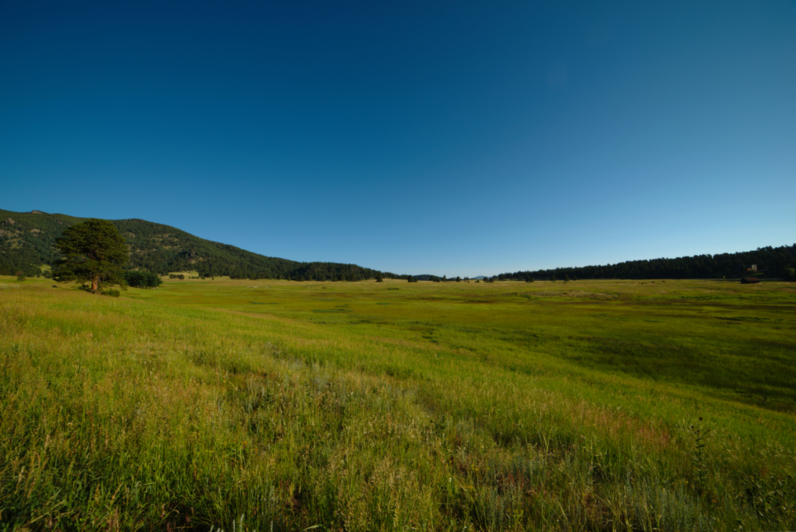An image depicting the trail Elk Meadow Trail and its surrounding area.