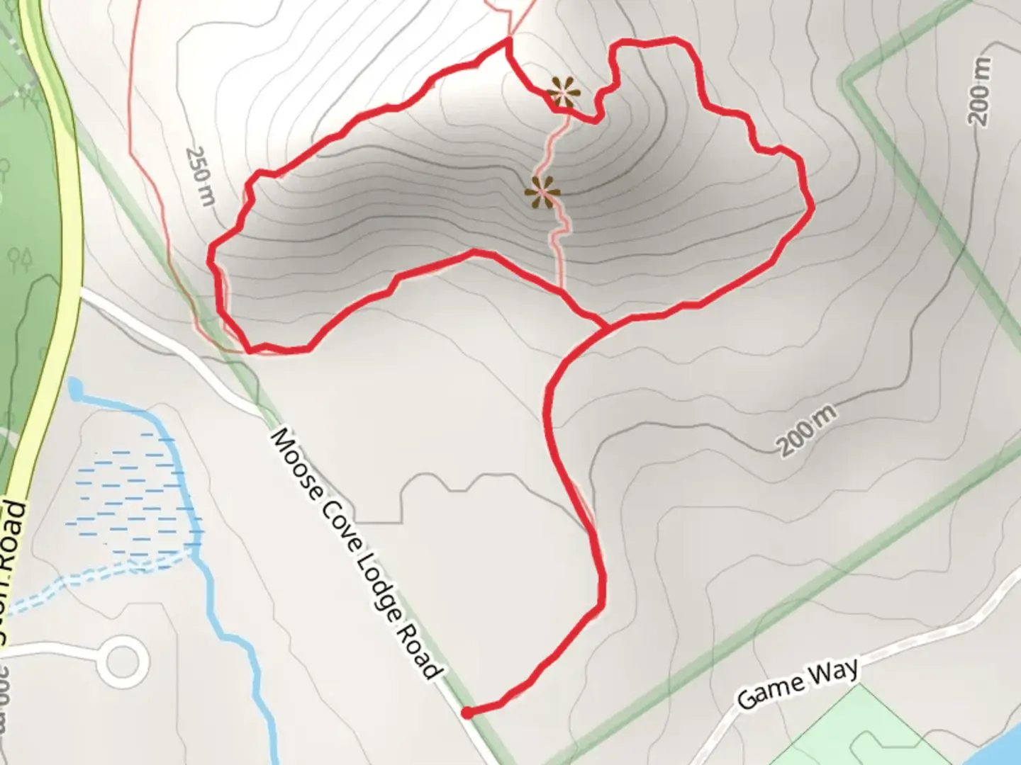 An image depicting the trail Bald Pate Mountain Loop and its surrounding area.
