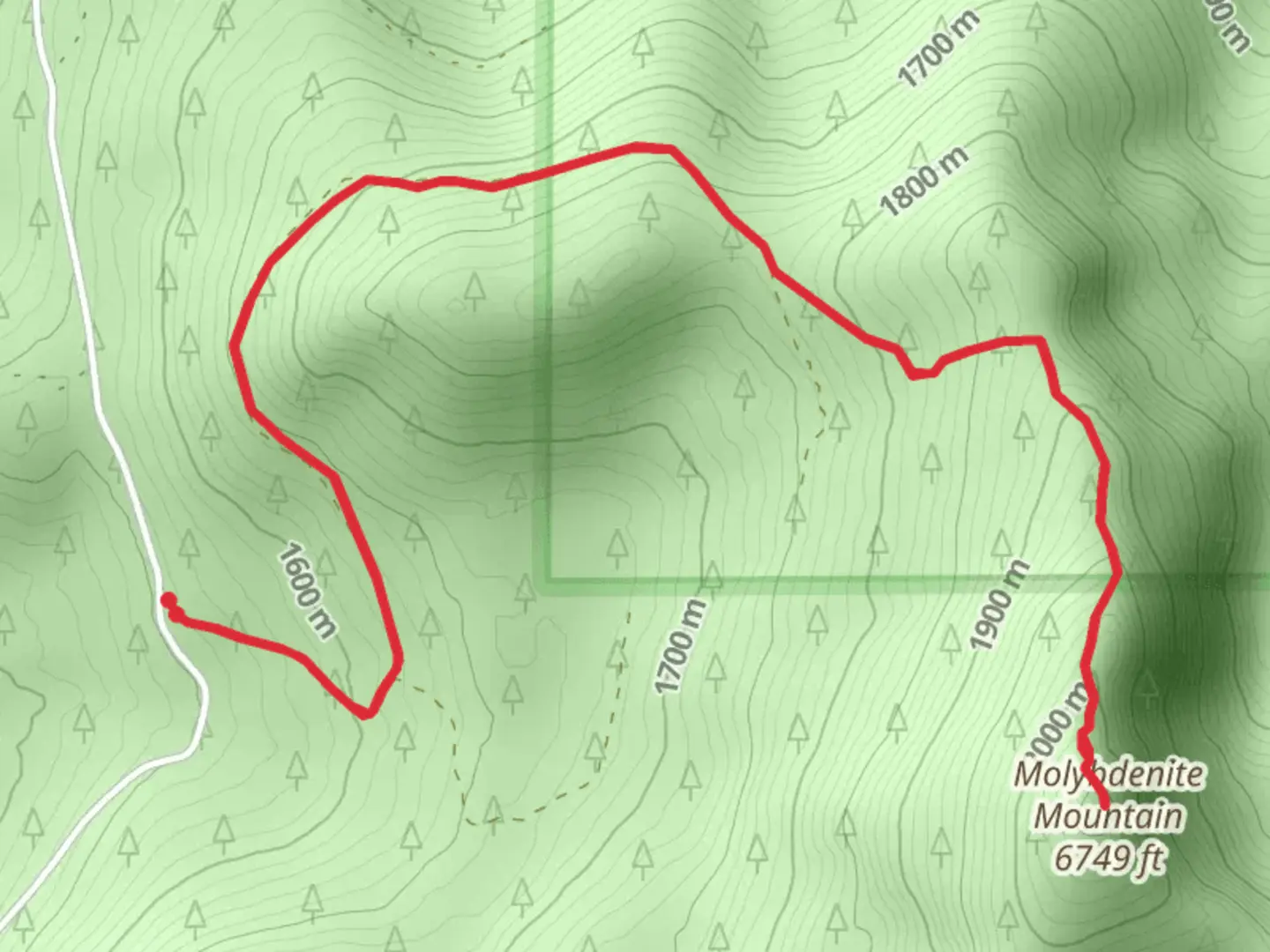 An image depicting the trail Molybdenite Mountain and its surrounding area.