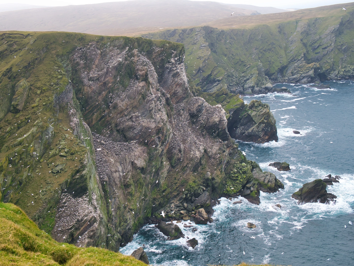 An image depicting the trail Coastal Walk of Shetland - South Mainland and its surrounding area.