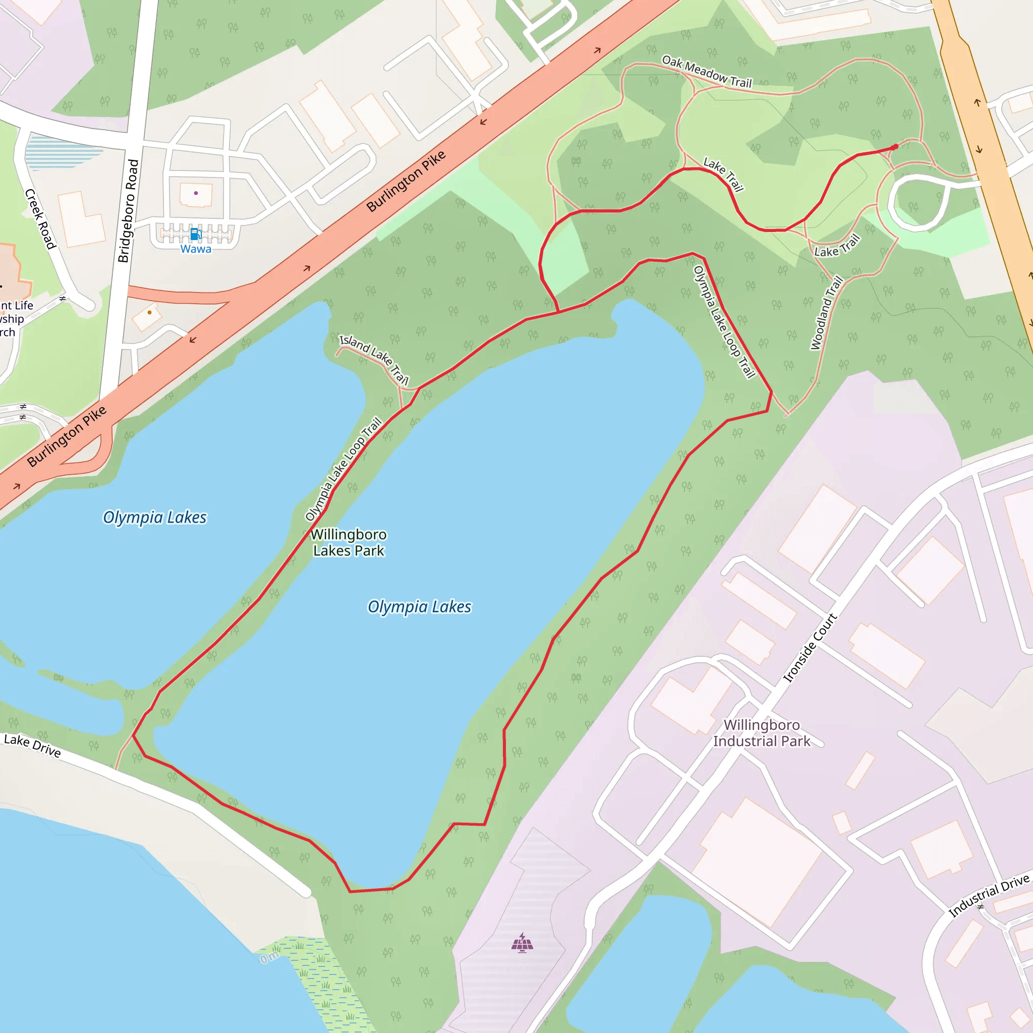 Olympia Lake Loop Trail mobile static map
