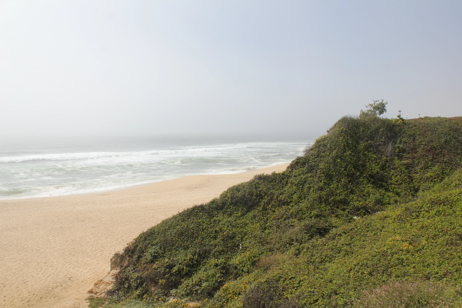 An image depicting the trail Old San Pedro Mountain Road and North Peak Access Road Loop and its surrounding area.