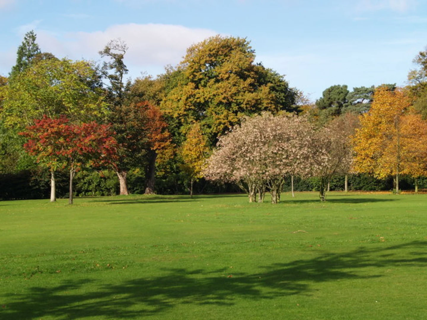 An image depicting the trail Calderstones Park Loop and its surrounding area.