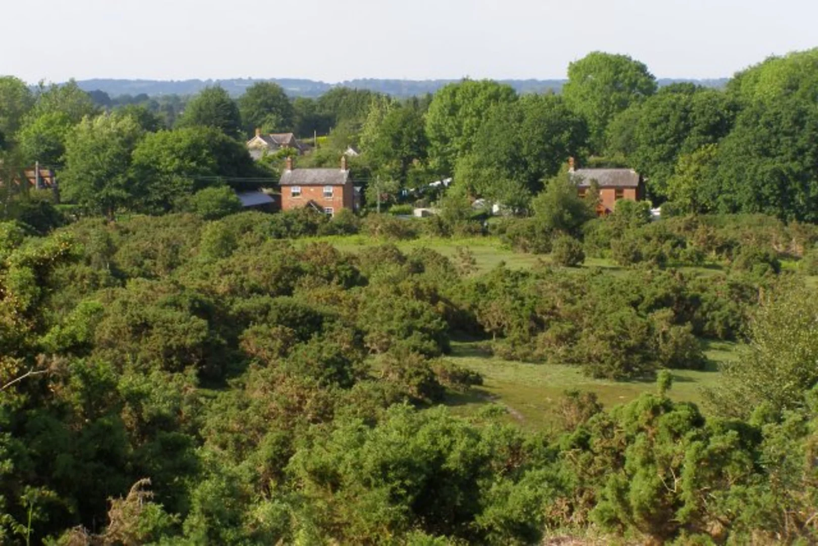An image depicting the trail Stagbury Mount Loop - Cadnam and its surrounding area.