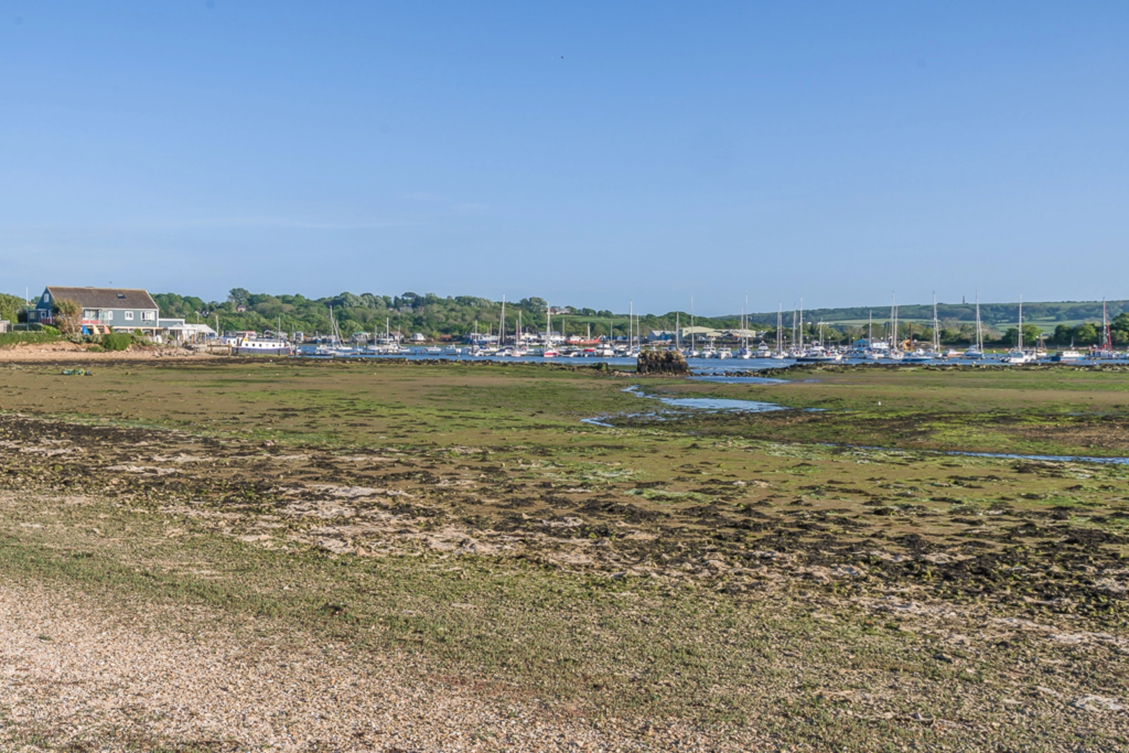 An image depicting the trail St Helens Fort Loop and its surrounding area.
