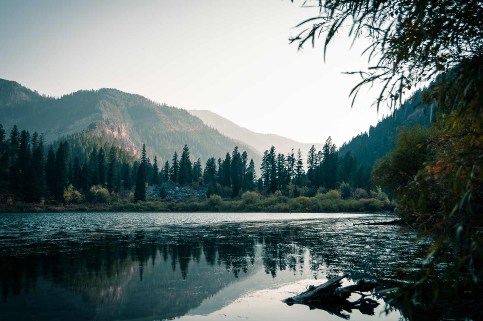 An image depicting the trail Lower Palisades Lake via Lower Palisades Creek Trail and its surrounding area.