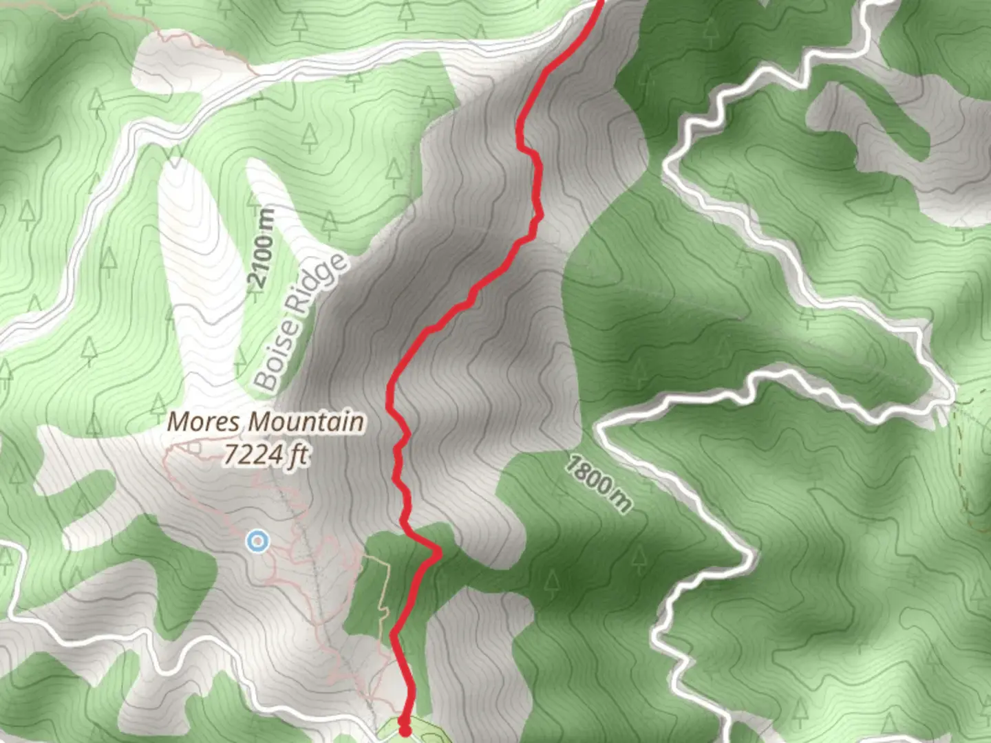 An image depicting the trail Mores Mountain Trail and its surrounding area.