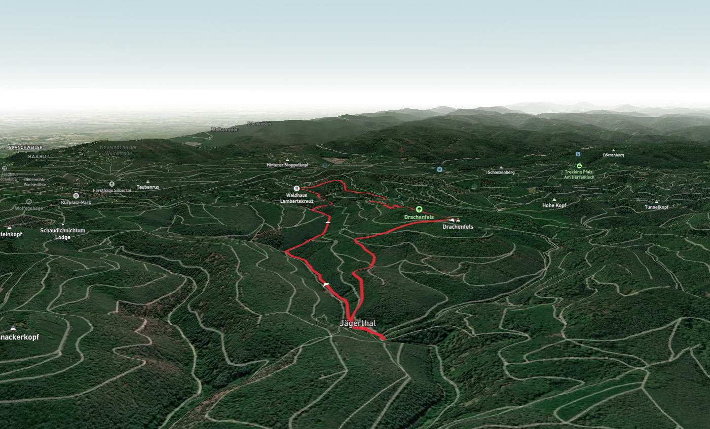 Drachenfels Loop via Pfaulzerwald Blauer Balken
